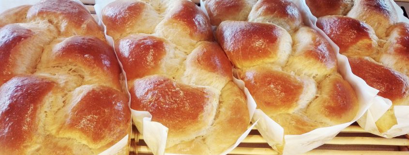 Brioche Vendéenne label rouge médaille or concours 2018 Maison Tenaud